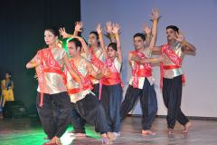 cultural_evening_at_21st_iscbc_2015_at_cdri_lucknow_39_20150325_2086298412