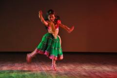 cultural_evening_at_21st_iscbc_2015_at_cdri_lucknow_29_20150325_1166443979