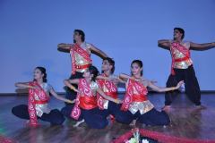 cultural_evening_at_21st_iscbc_2015_at_cdri_lucknow_55_20150325_2047211913